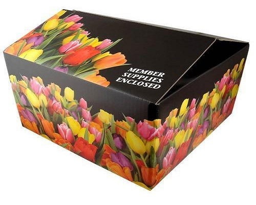 4 Colour Printed Corrugated Box